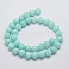 Natural & Dyed Malaysia Jade Bead Strands G-A146-12mm-B-2