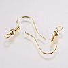 Brass Earring Hooks KK-F737-42G-RS-2