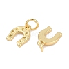 Rack Plating Brass Charms KK-Q028-45G-3