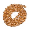 Glass Beads Strands GLAA-R024-15x10mm-17-2