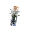 Natural Lapis Lazuli Chip Healing Crystals Wishing Bottles with Alloy Triple Moon Decor PW-WGD8D42-02-1