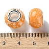 Brass Cores Acrylic European Beads OACR-M024-06P-09-3