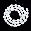 Natural Trochid Shell/Trochus Shell Beads Strands SSHEL-S266-021A-02-2