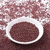 MIYUKI Round Rocailles Beads SEED-X0054-RR1089-2