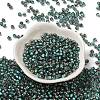 Transparent Inside Colours Glass Seed Beads SEED-H002-A-C222-2