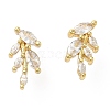 Rack Plating Brass Leaf Stud Earrings with Cubic Zirconia EJEW-D061-12G-1