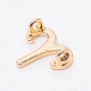 Alloy Charms PALLOY-WH0088-13LG-3