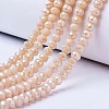 Electroplate Glass Beads Strands LS-EGLA-A034-P4mm-B02-1