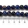 Natural South Africa Sodalite Beads Strands G-S259-35-8mm-8