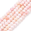 Natural Shell Beads SSHEL-G026-01A-1