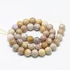 Natural Fossil Coral Beads Strands G-R446-8mm-28-2
