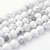 Natural Howlite Bead Strands G-G735-66-10mm-2