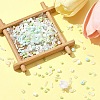 2 Sets Glass Seed Beads DIY-FS0008-27B-8