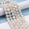 Natural Rainbow Moonstone Beads Strands G-K323-20B-3