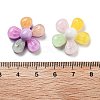 Translucent Resin Decoden Cabochons RESI-B027-02-3