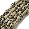 Natural Dalmatian Jasper Beads Strands G-A223-A08-01-1