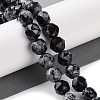Natural Snowflake Obsidian Beads Strands G-NH0021-A09-01-2