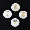 Freshwater Shell Beads SHEL-T018-17-2