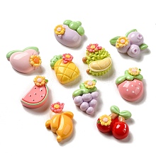 Flower Fruit Opaque Resin Decoden Cabochons CRES-P033-01