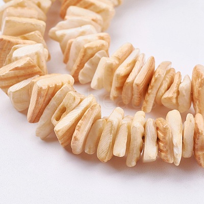 Natural Sea Shell Beads Strands BSHE-K012-08-1