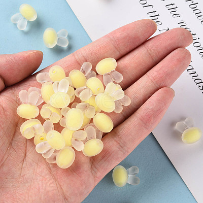 Transparent Acrylic Beads TACR-S152-12C-SS2105-1