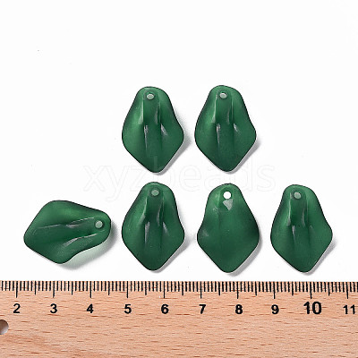 Transparent Frosted Acrylic Pendants MACR-S371-03A-735-1