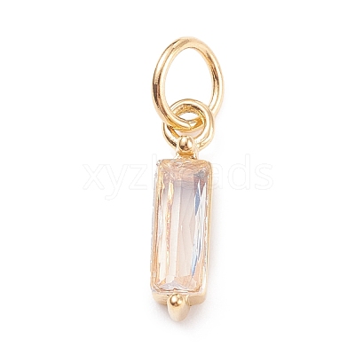 304 Stainless Steel Cubic Zirconia Pendants STAS-E487-21G-09-1