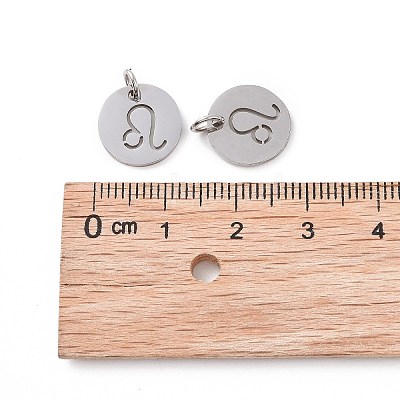 Non-Tarnish 304 Stainless Steel Charms STAS-Q201-T445-5S-1