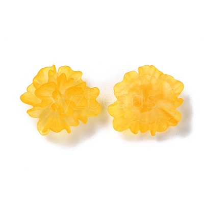 Transparent Resin Cabochons LS-RESI-G027-01C-1