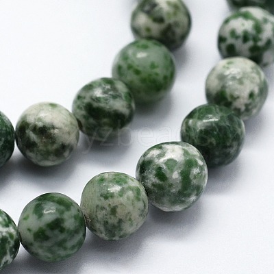 Natural Green Spot Jasper Beads Strands X-G-I199-30-12mm-1