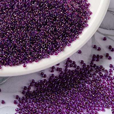 MIYUKI Round Rocailles Beads X-SEED-G009-RR0352-1