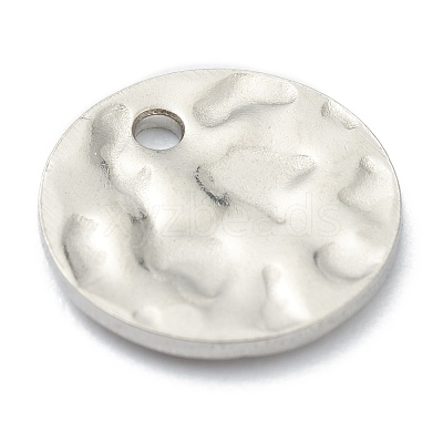 Tarnish Resistant 304 Stainless Steel Charms STAS-H157-03C-P-1