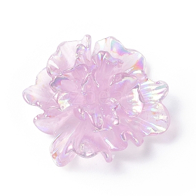 Resin Cabochon RESI-E033-01-1