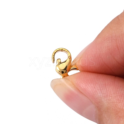304 Stainless Steel Lobster Claw Clasps STAS-R050-10x6mm-02-1