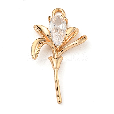 Brass Micro Pave Clear Cubic Zirconia Pendants ZIRC-U003-01G-04-1