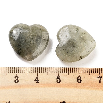 Heart Natural Labradorite Palm Stones G-C134-06A-17-1