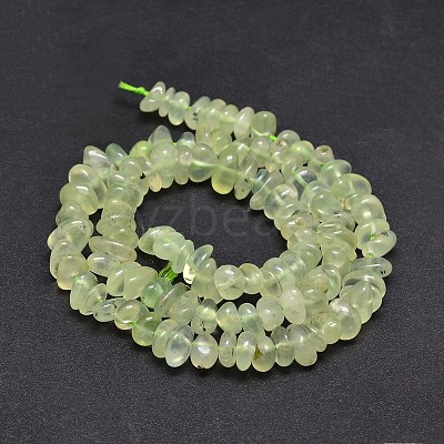 Natural Prehnite Chip Beads Strands X-G-E271-99-1