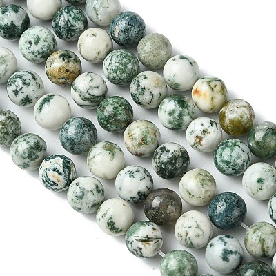Natural Tree Agate Round Gemstone Beads Strands G-R255-10mm-1