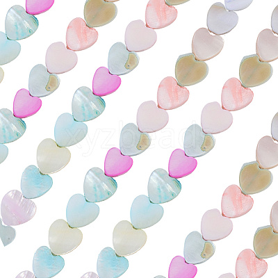 2 Strands Macaron Color Natural Shell Beads Strands SHEL-SC0001-88C-1