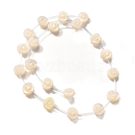 Natural White Shell Beads BSHE-Z008-04-1