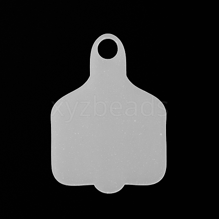 Transparent Acrylic Big Pendants DIY-WH0430-720B-1