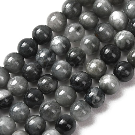 Natural Hawk's Eye Beads Strands G-L478-03-8mm-01-1