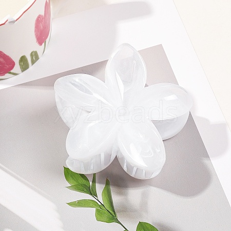 Plastic Claw Hair Clips for Women Girls PW-WGB2E8F-05-1