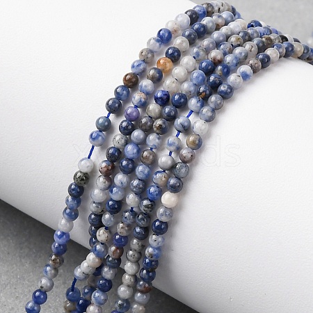 Natural Blue Spot Jasper Beads Strands G-Z116-A02-2mm-1