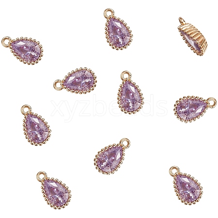 10Pcs Brass Micro Pave Cubic Zirconia Charms KK-SZ0002-47-1