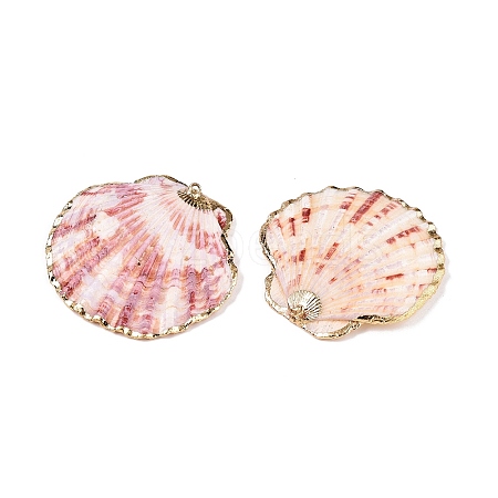 Natural Scallop Shell Big Pendants SSHEL-N038-12-1