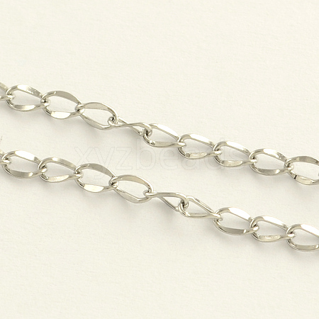 304 Stainless Steel Curb Chains CHS-T001-01-1