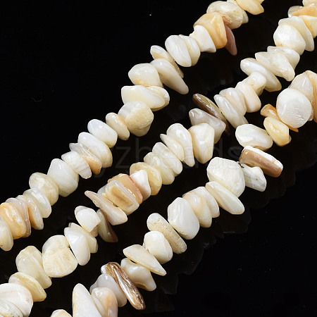 Natural Freshwater Shell Beads Strands SHEL-S278-070G-1