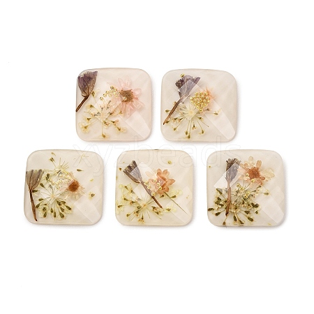 Transparent Resin Cabochons RESI-K033-12B-1