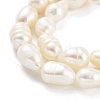 Natural Keshi Pearl Cultured Freshwater Pearl Beads Strands PEAR-P062-34-4